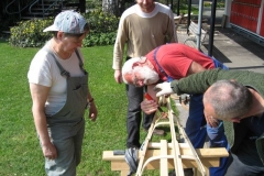 groenlaender_zuerich_07_17