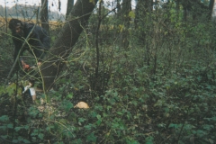 gruenholz_singerhof_0204_007