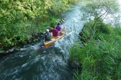 Lake_Caddo_Bateau_Ausfahrten_Freiburg_006