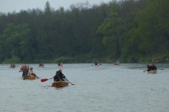 Lake_Caddo_Bateau_Ausfahrten_Freiburg_023